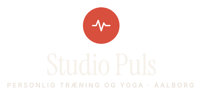 Studio Puls